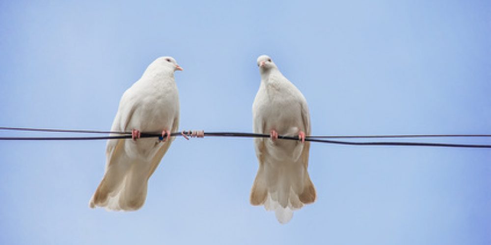 Žiadne stretnutie nie je náhodné